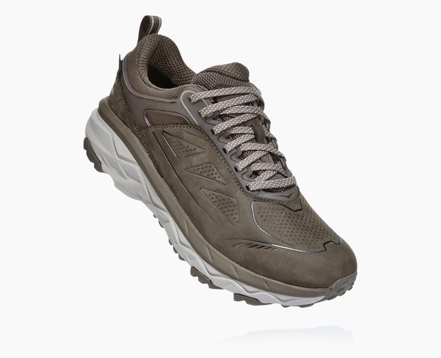 Hoka One One Spor Ayakkabı Kadın Kahverengi - Challenger Kısa Gore-Tex - CY8140523